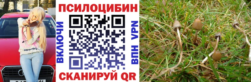 Псилоцибиновые грибы Cubensis  Плёс 